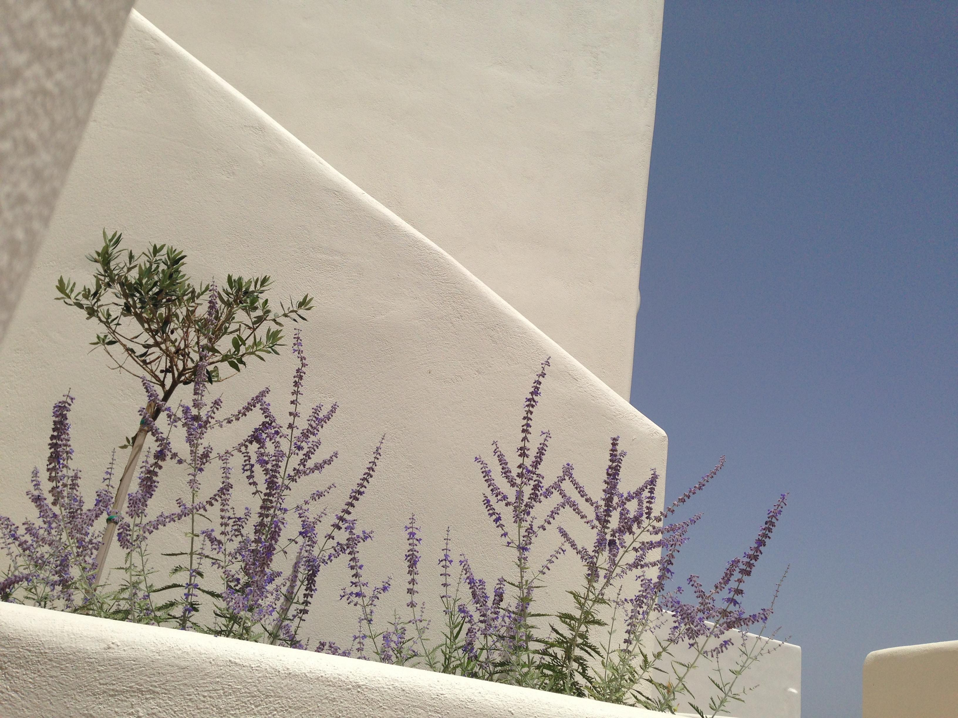 Archipelagos Resort Páros Exteriör bild